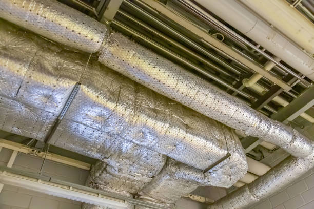 Air Duct Mold Removal